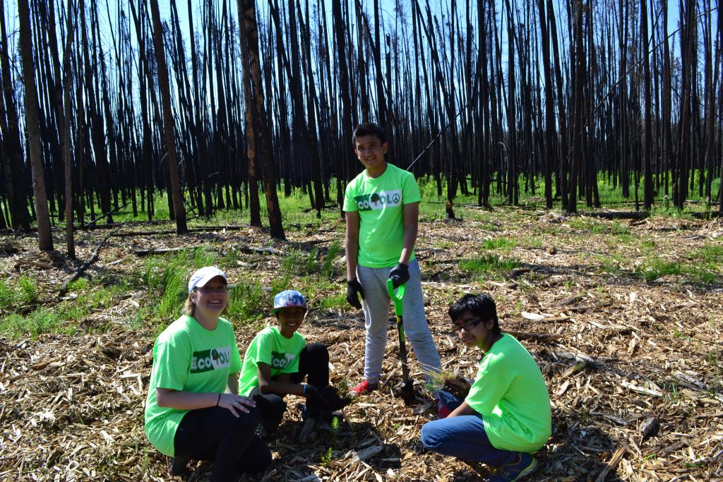 PHOTO. Supplied: Students from Ecole McTavish helping replant trees in Saprae Creek. FMPSD. 