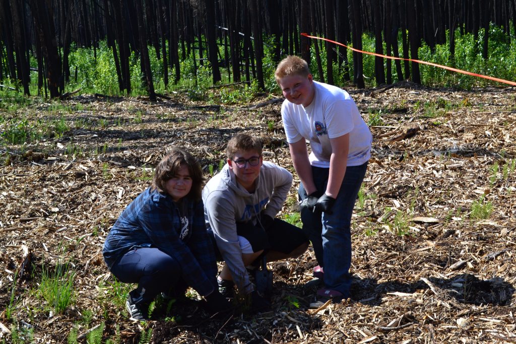 PHOTO. Supplied: Students from Ecole McTavish helping replant trees in Saprae Creek. FMPSD. 