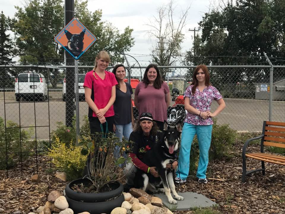 PHOTO. Greb and Sandy Macdonald in the Winky memorial garden at the FMSPCA with staff. Melanie Walsh. AFTERNOON NEWS ANCHOR.