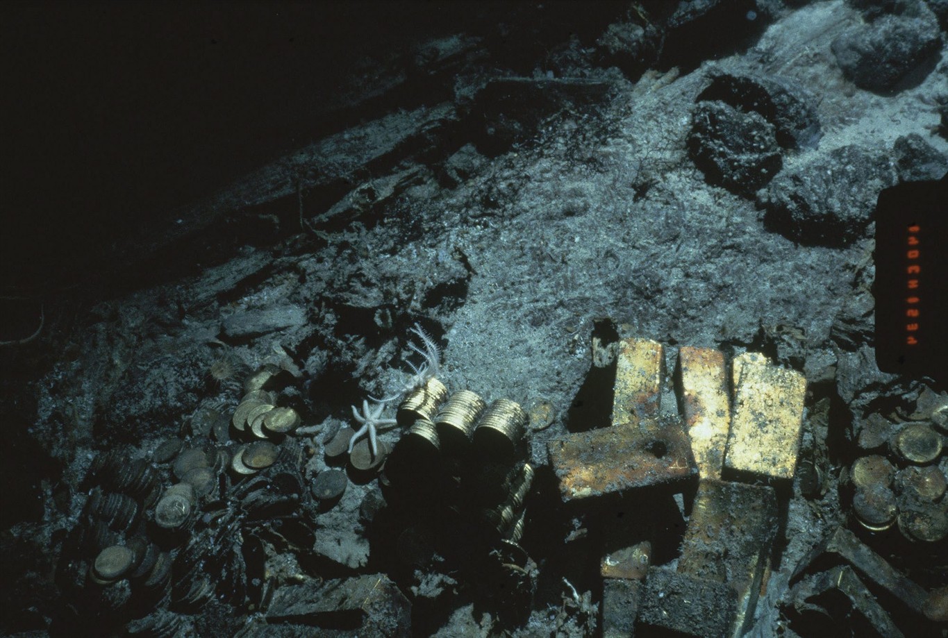 Gold! Treasure lost at sea in 1857 shipwreck goes on display