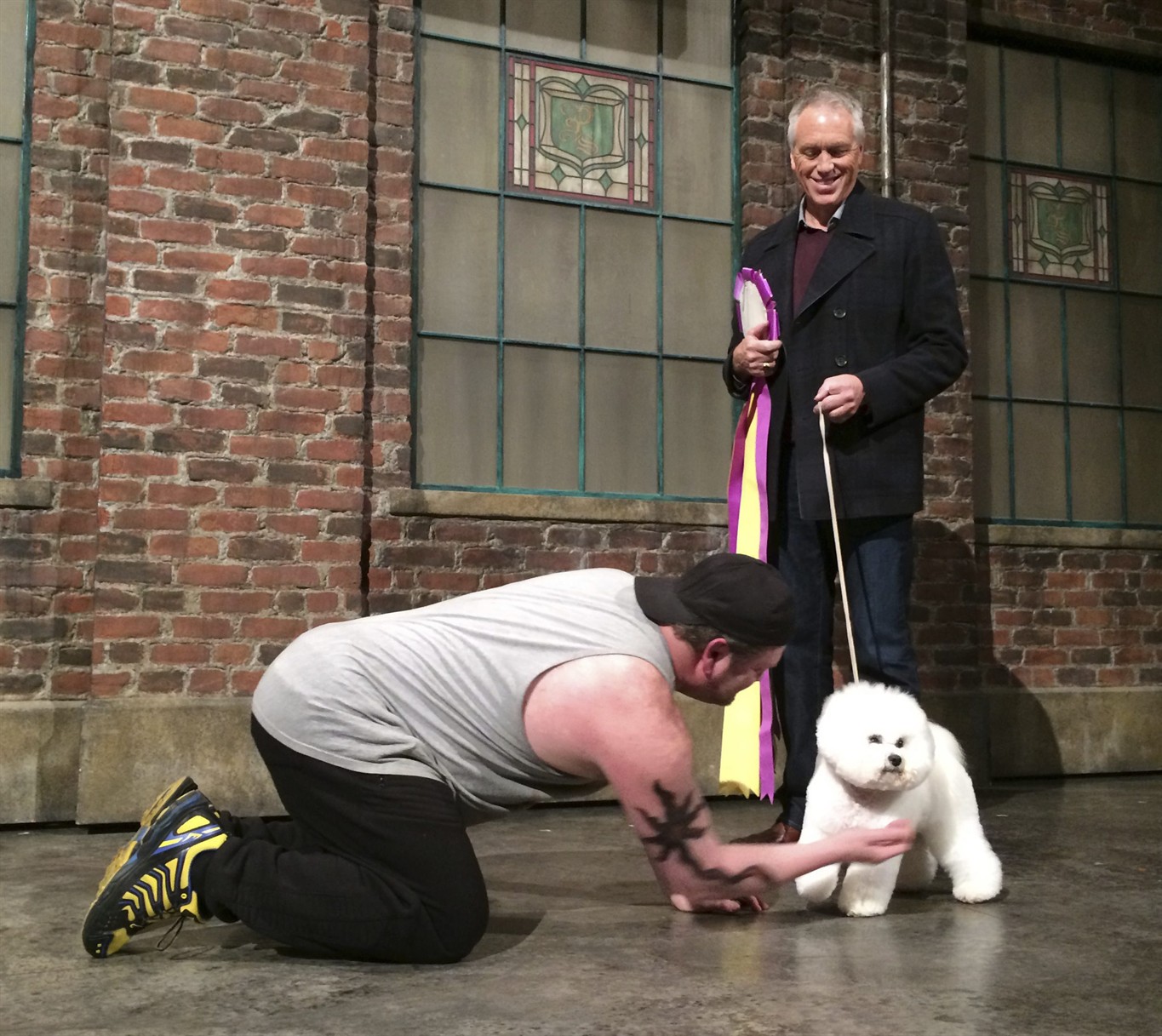 Truly best in show Westminster winner makes Broadway debut